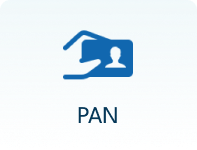Pan